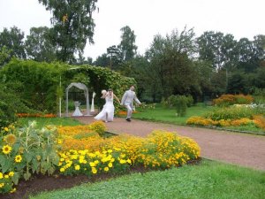 ВСПОМИНАЯ ЛЕТО: прекрасные свадьбы в розарии