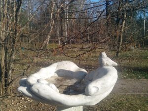 Наши поилки для птиц в Сиреневом саду